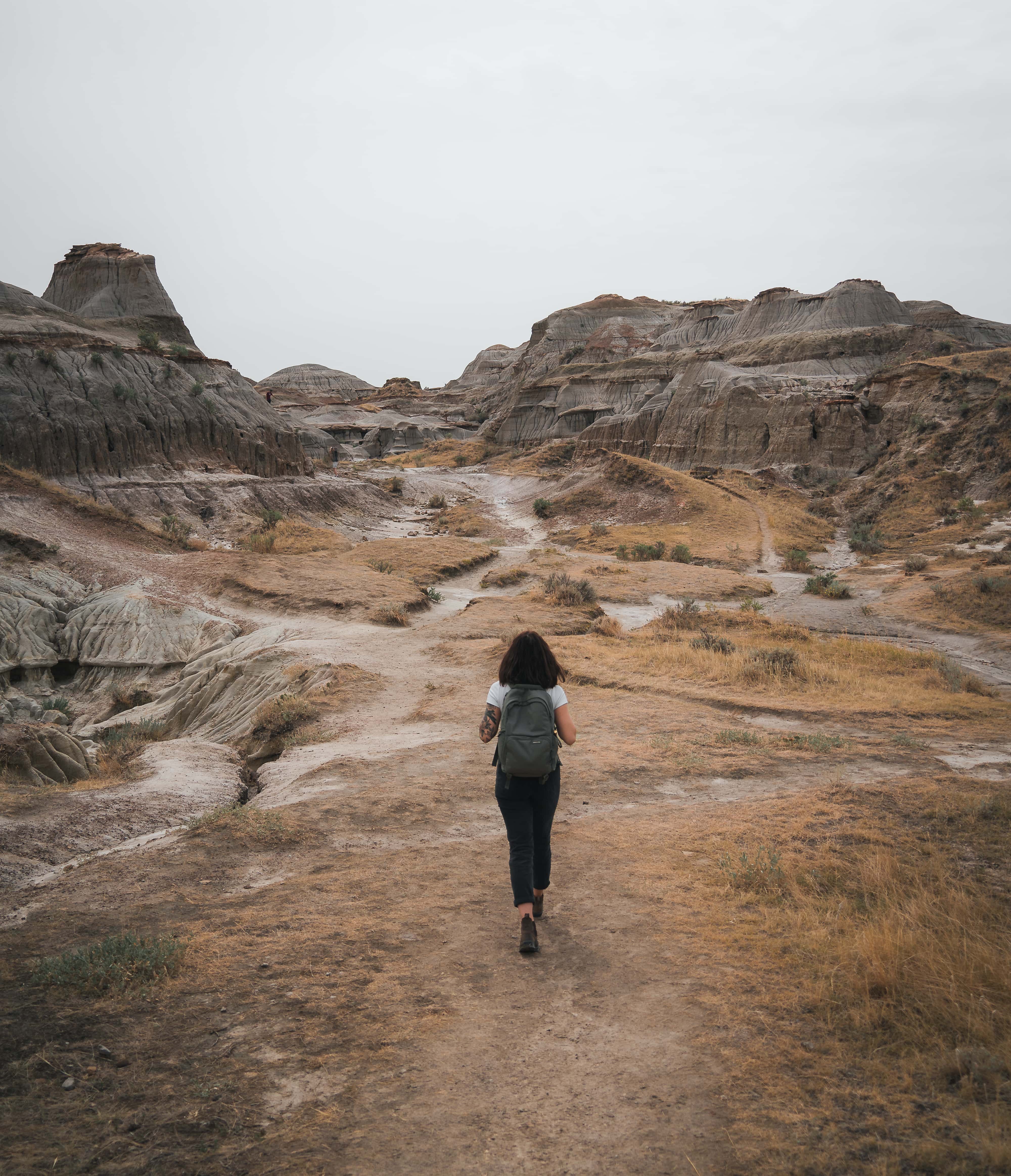 why is everyone obsessed with traveling? for a change in scenery - dinosaur provincial park alberta
