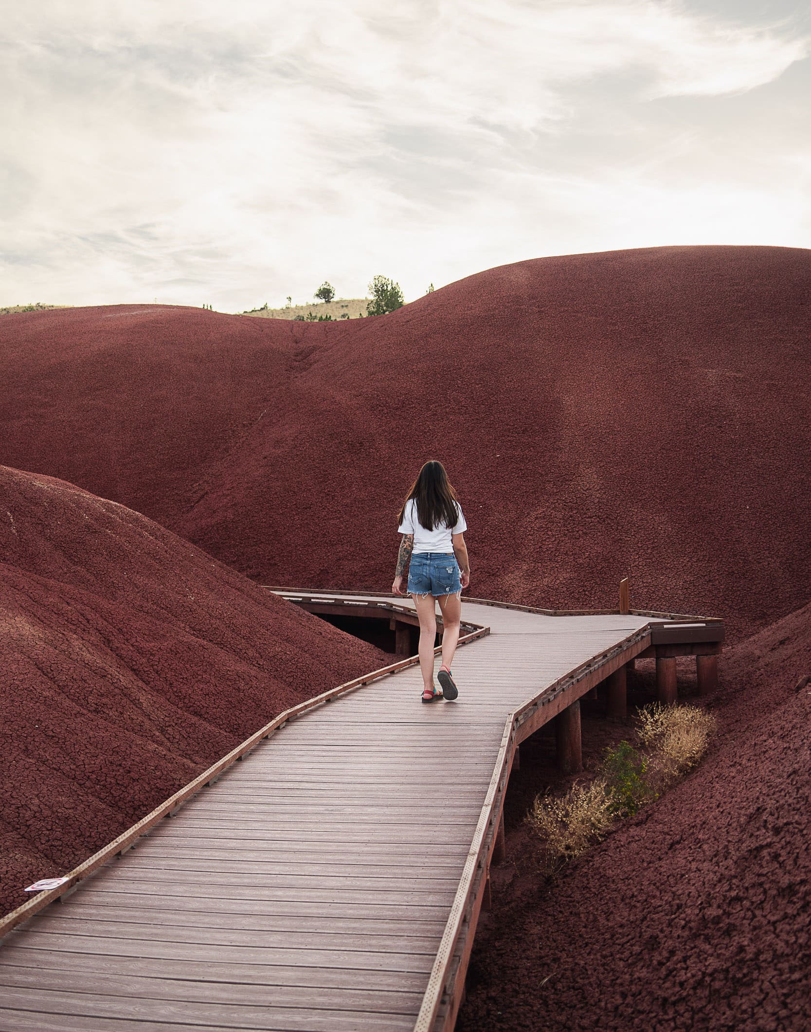 best stops for your oregon road trip itinerary - painted cove, painted hills, oregon
