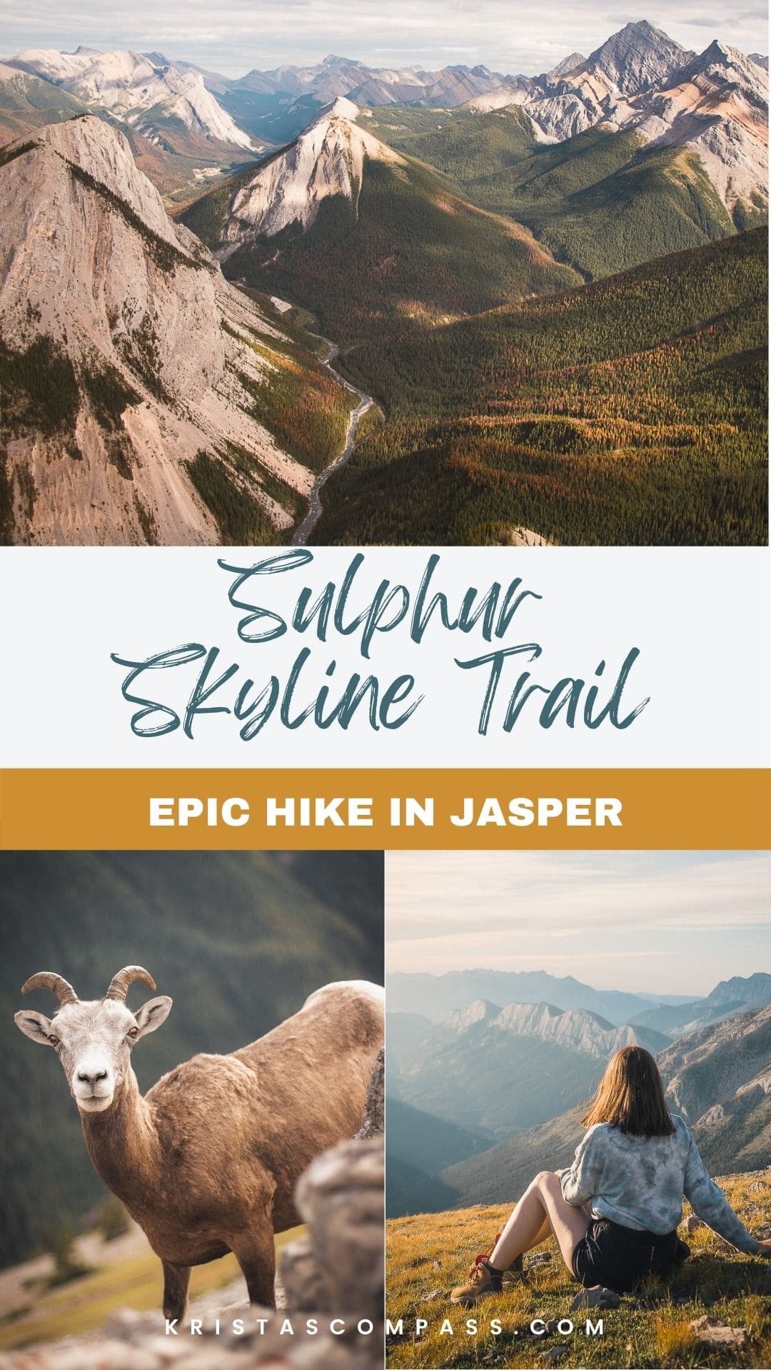 most beautiful hike in jasper national park, best hikes in jasper national park, hiking sulphur skyline
