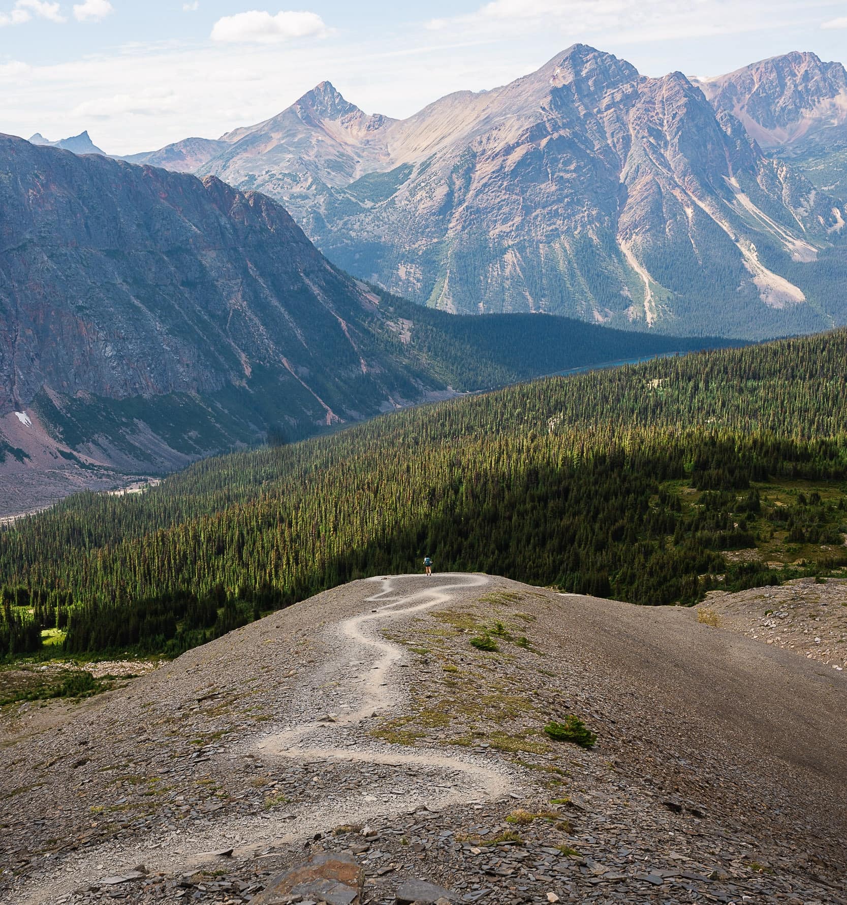 the path leading up to the top of edith cavell meadows trail in jasper national park