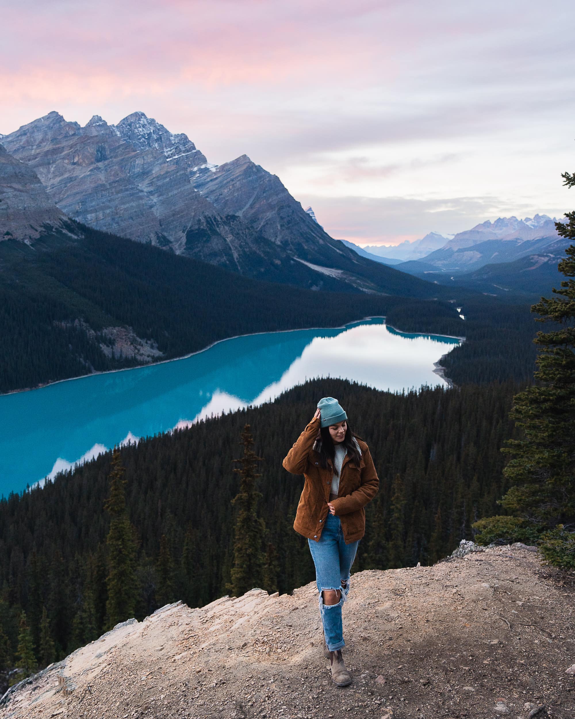 peyto lake is a beautiful blue alpine lake in banff national park a bucket list destination in banff